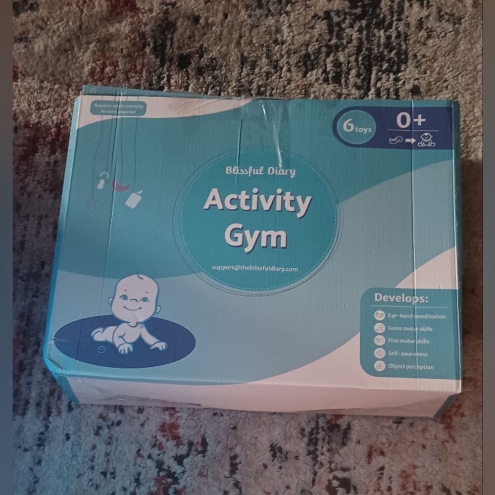 Baby Activity Gym